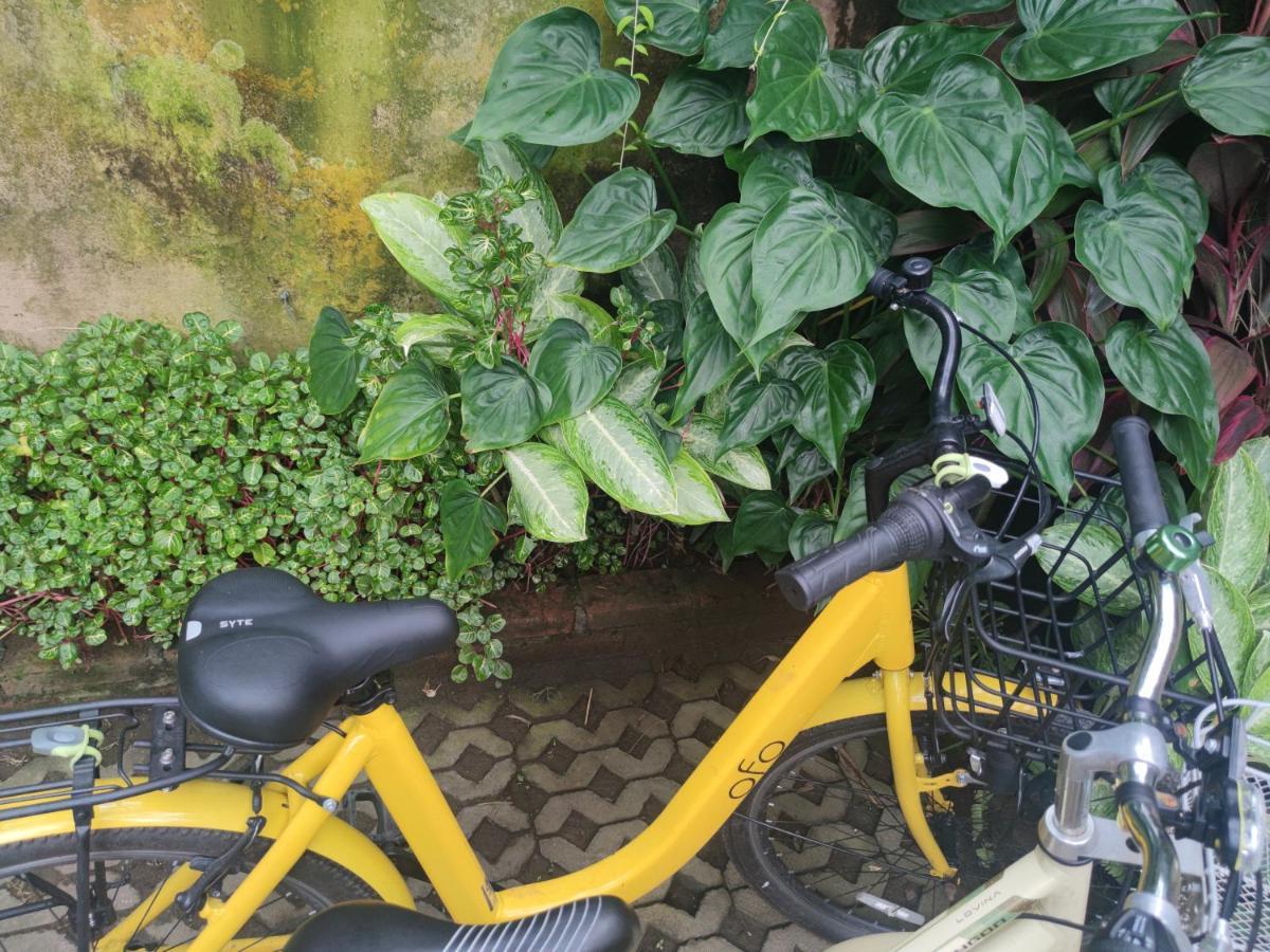 G Saskara Homestay Sanur Exterior foto